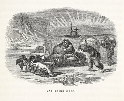Recolección de musgo, ilustración de 